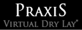Praxis S.A.